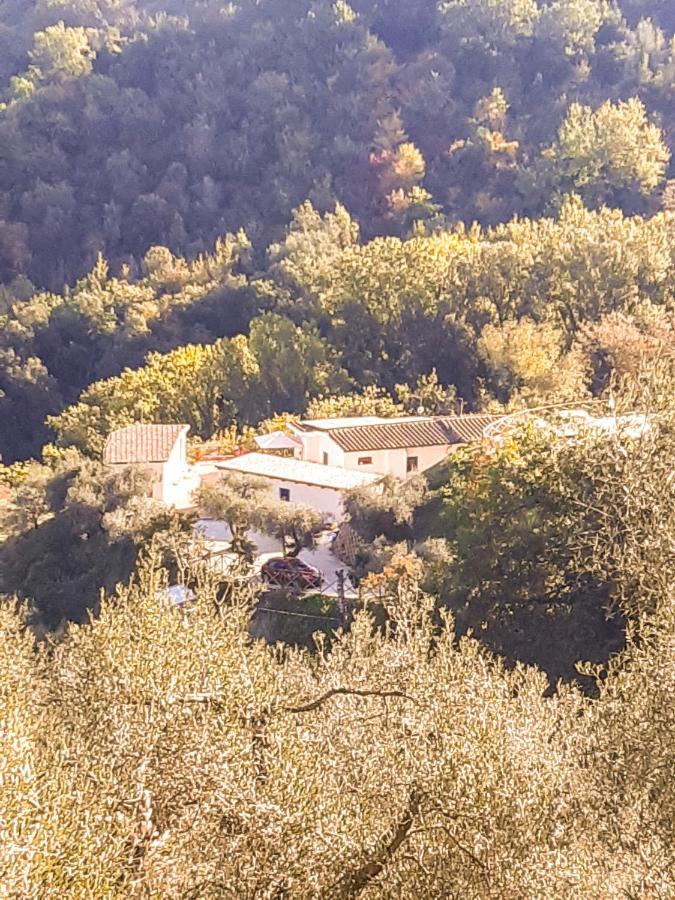 La Dimora Degli Angeli Panzió Perugia Kültér fotó